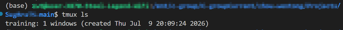 tmux ls